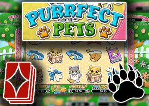 new perfect pet slots rtg casinos