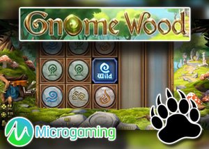 new wood gnome slot microgaming casinos