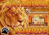 Play the new Savannah Sunrise slot from NextGen Gaming