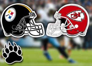 Bet on NFL Football Betting Odds