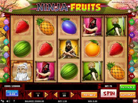 Ninja Fruits Game Preview