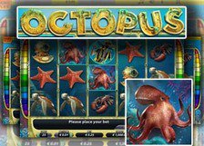 Octopus