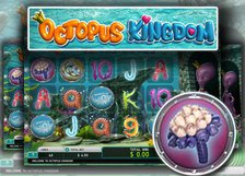 Octopus Kingdom