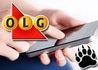 PlayOLG Launch New Mobile App