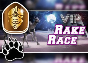 wild sultans vip race rake