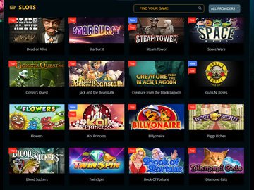 Playamo Casino Software Preview