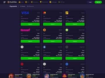 Playfina Casino Cashier Preview