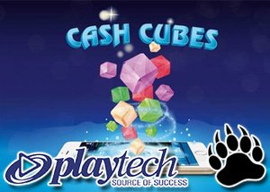 Playtech Announce Speed Cash Cubes Bingo - Each Game Lasts 2 Mins!