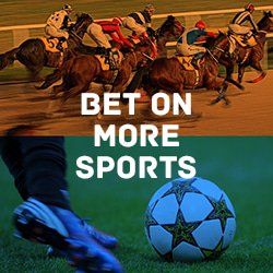 bet on all sports