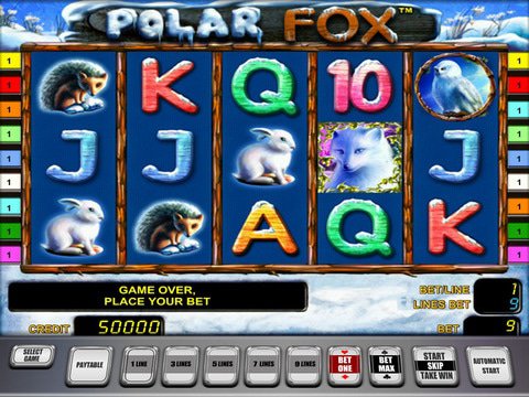 Polar Fox Polar Game Preview