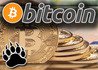 Bitcoin Casinos in Trouble as Price of Bitcoin Tumbles