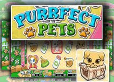 Purrfect Pets