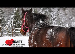 Canadian Horse Racing Calendar Giveaway