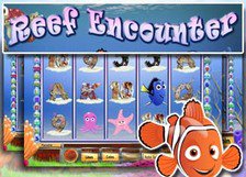 Reef Encounter