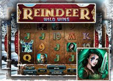 Reindeer Wild Wins