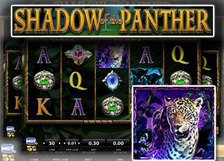 Shadow of The Panther