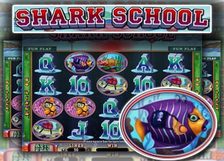 Shark School