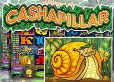 Cashapillar No Download Slot