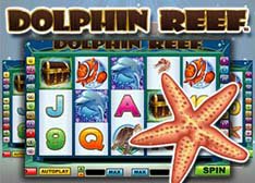 Dolphin Reef iPad Slot
