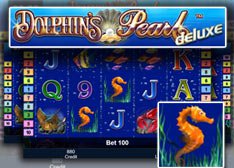 Dolphins Pearl Deluxe Slot Odds