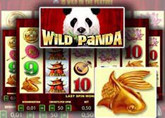 Wild Panda Slots Free Download