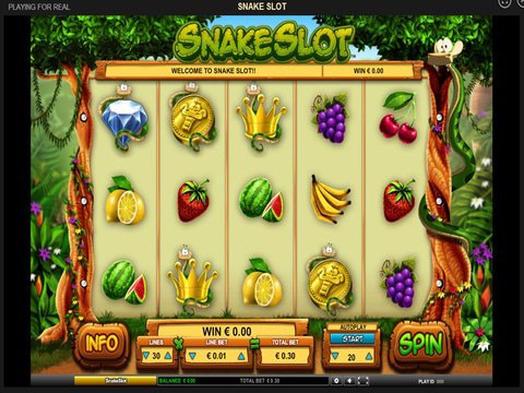 Snake Slot Game Preview