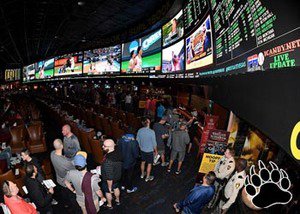 Sports Betting Benefit Pro Leagues