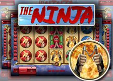 The Ninja