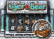 Tiger Vs. Bear Siberian Standoff