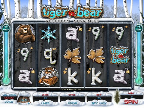Tiger Vs. Bear Siberian Standoff Game Preview