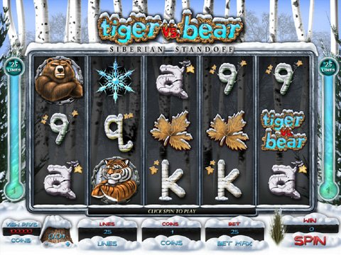 Tiger Vs. Bear Siberian Standoff Game Preview