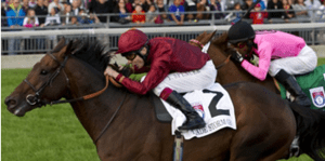 Trade Storm wins Ricoh Woodbine Mile