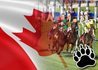 2016 Queen's Plate Preparations Underway