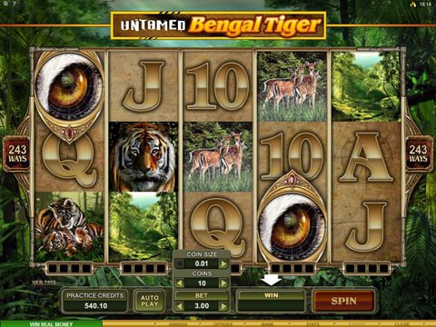 Untamed Bengal Tiger Game Preview