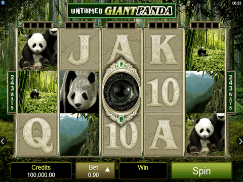 Untamed Giant Panda Game Preview