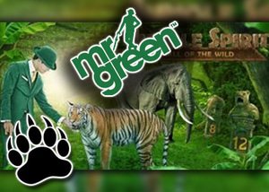 mr green untamed prize draw adventure