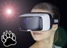 Betting on VR: The Future of Online Casinos Looks Good