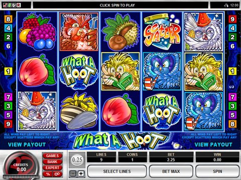 Party It Up with No Download What a Hoot Slots Today