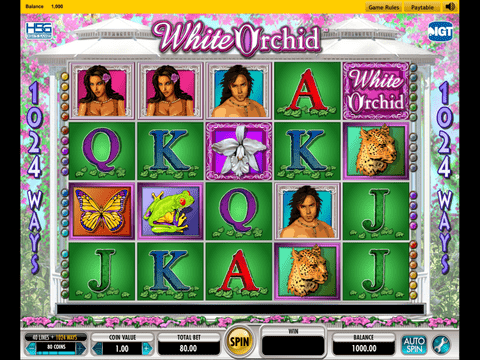 White Orchid Slot Machine Free Download