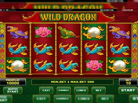 Wild Dragon Game Preview