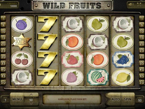 Wild Fruits Game Preview