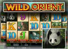 Wild Orient