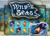 Wild Seas