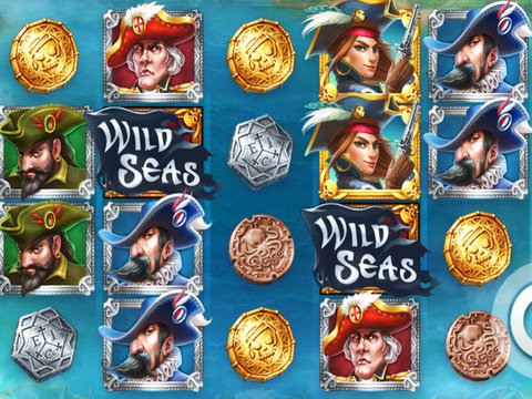 Wild Seas Game Preview