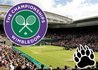 Canada's #1 Wimbleton Betting Guide 2015