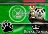 Win $10k With Royal Panda Casino's Roulette Championship