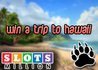 Win a Trip to Hawaii With Slots Million Promo