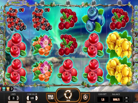 Winter Berries Game Preview